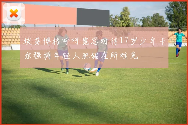 埃芬博格呼吁宽容对待17岁少年卡尔强调年轻人犯错在所难免
